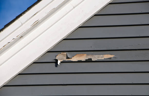 Affordable Siding Repair and Maintenance Services in Fox Chase, PA